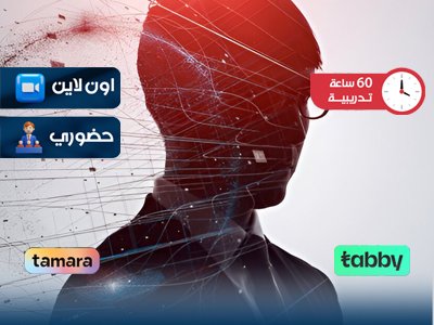 الدبلوم التدريبي في استشارات الحوكمة الرقمية